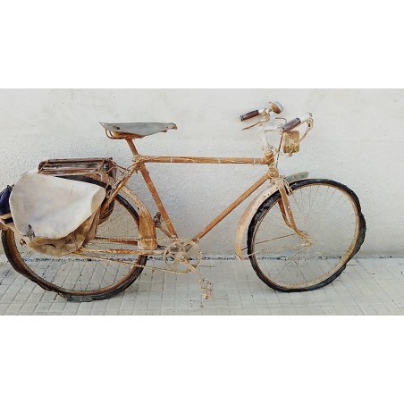 Bicicleta Mochilas T53