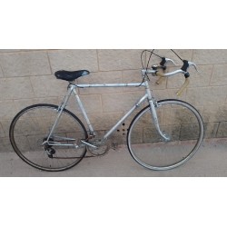 Bicicleta Gris T57