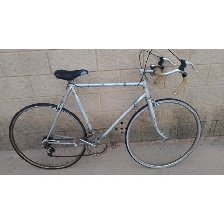 Bicicleta Gris T57
