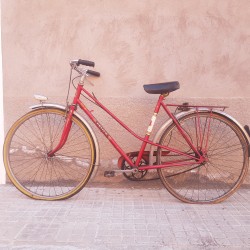 Elium Peugeot T53/56