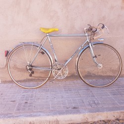 Bicicleta Starnoro T56